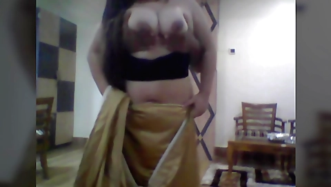 Chubby brunette is going to get fucked on the webcam